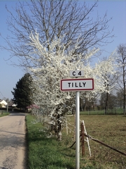 panneau fleur village